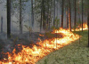 Лесопожарную ситуацию в Югре держат под контролем