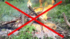 Об отмене пожароопасного сезона на территории Ханты - Мансийского автономного округа - Югры
