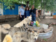 Белоярские кинологи и общественники посетили приют для животных «Добродея»