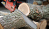 Разъяснения государственно-правового управления аппарата Думы ХМАО-Югры по вопросу заготовки гражданами древесины для собственных нужд
