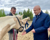 В Белоярском открыли конный клуб