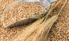 Федеральная государственная информационная система прослеживаемости зерна и продуктов переработки зерна (ФГИС «ЗЕРНО») информирует