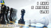 ШАХМАТЫ