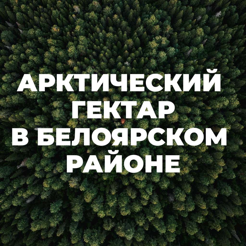 Арктический гектар 33.png